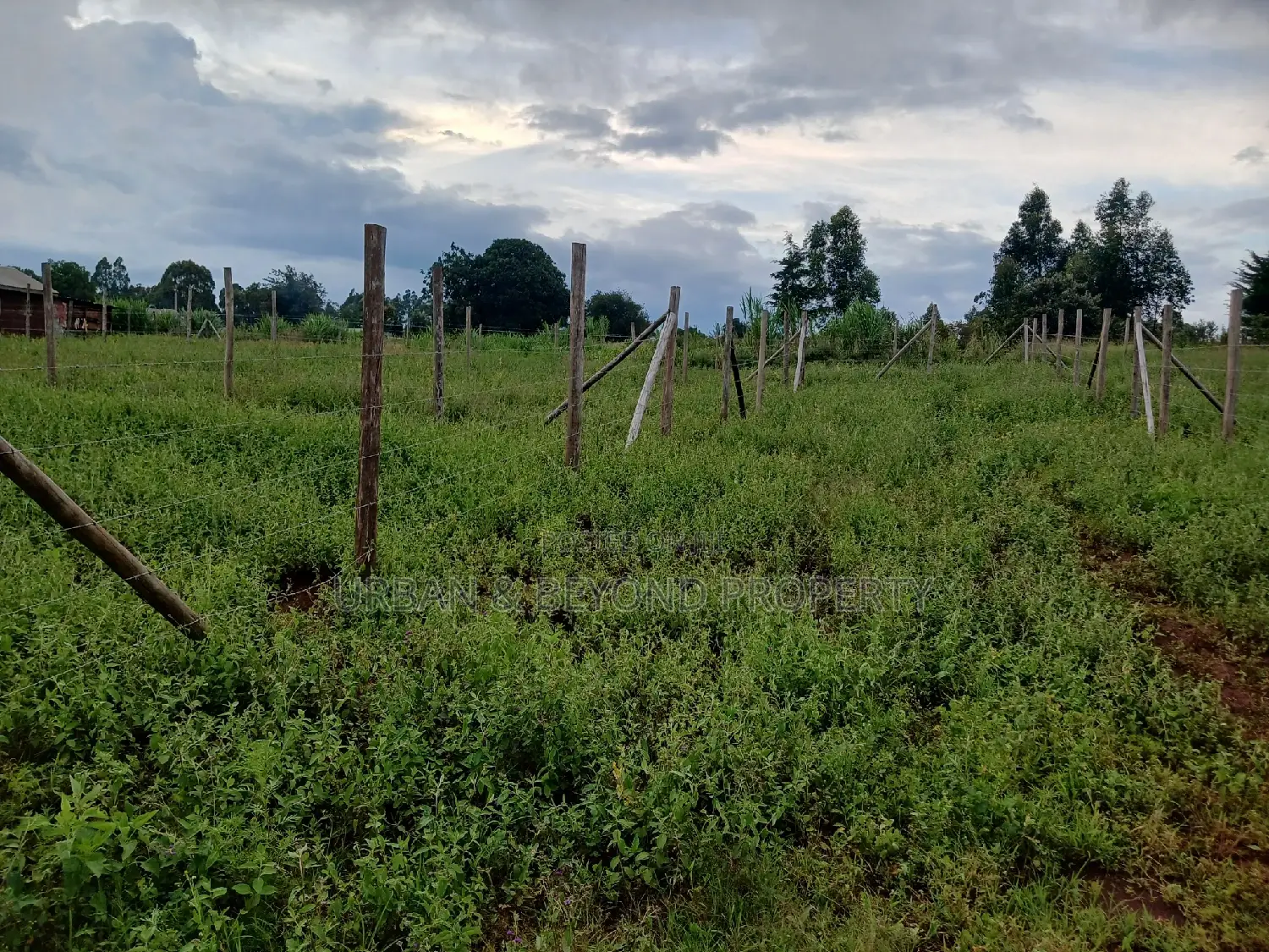 1/8 Acre Land Plots for Sale: 50 x 100 ft Dimensions in Kikuyu