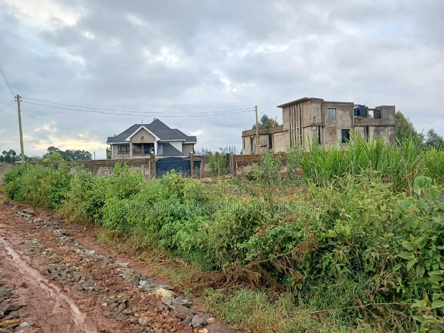 Affordable Prime Land in Lussigeti: 1/8th Acre Plots for Sale in Kikuyu