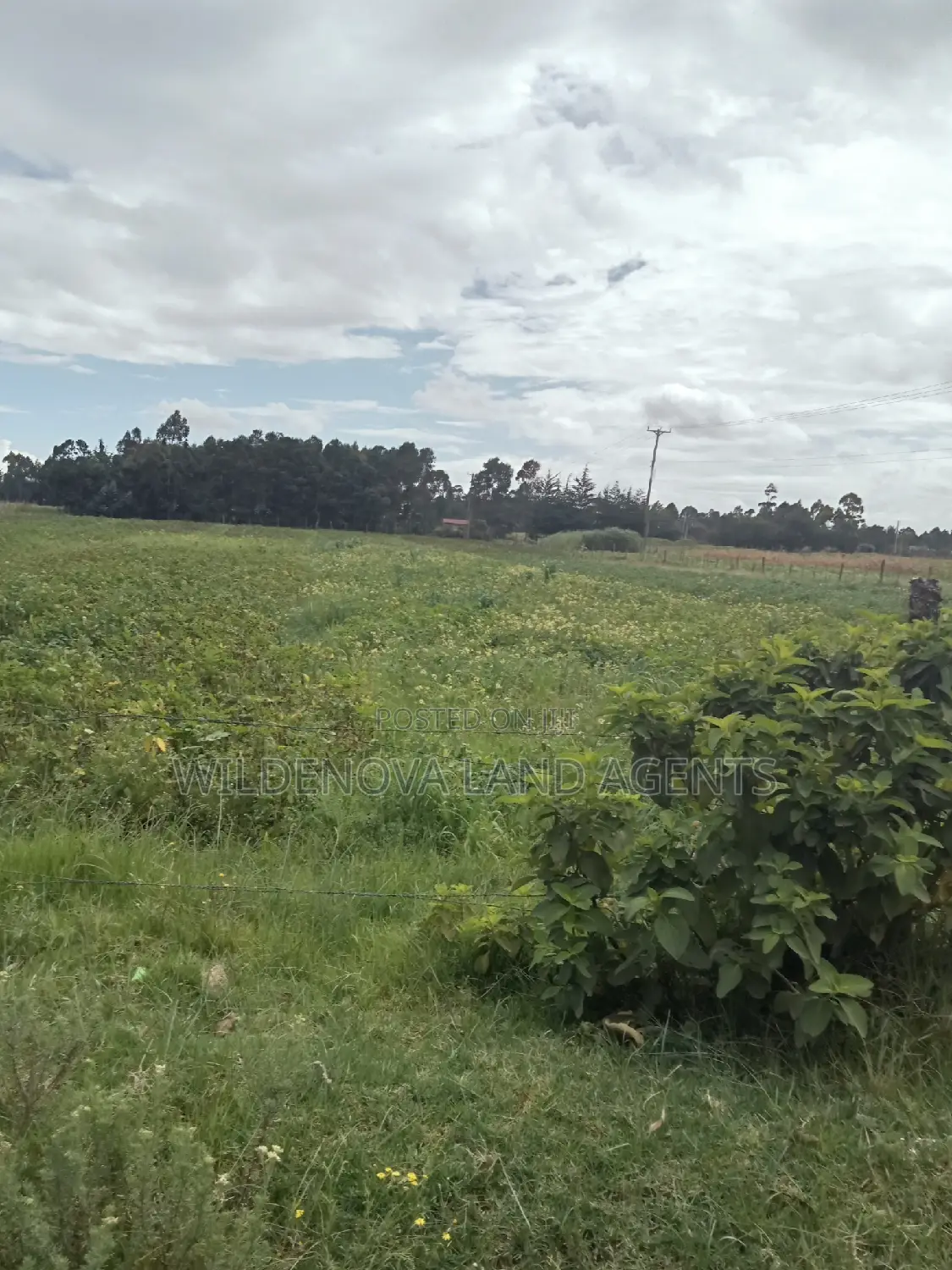 2 Acre Land in Nyakio Kinangop - Ideal for Agriculture or Residential Development in Karati