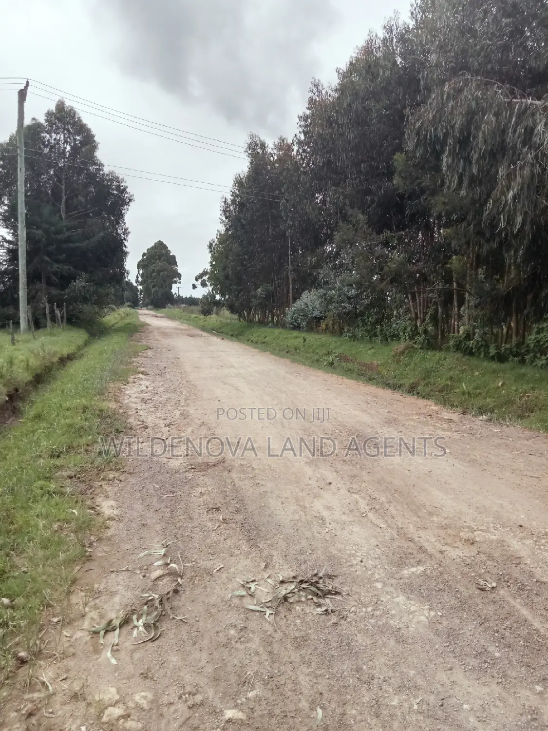 2 Acre Land in Nyakio Kinangop - Ideal for Agriculture or Residential Development in Karati
