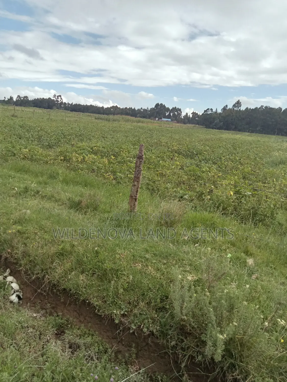 2 Acre Land in Nyakio Kinangop - Ideal for Agriculture or Residential Development in Karati