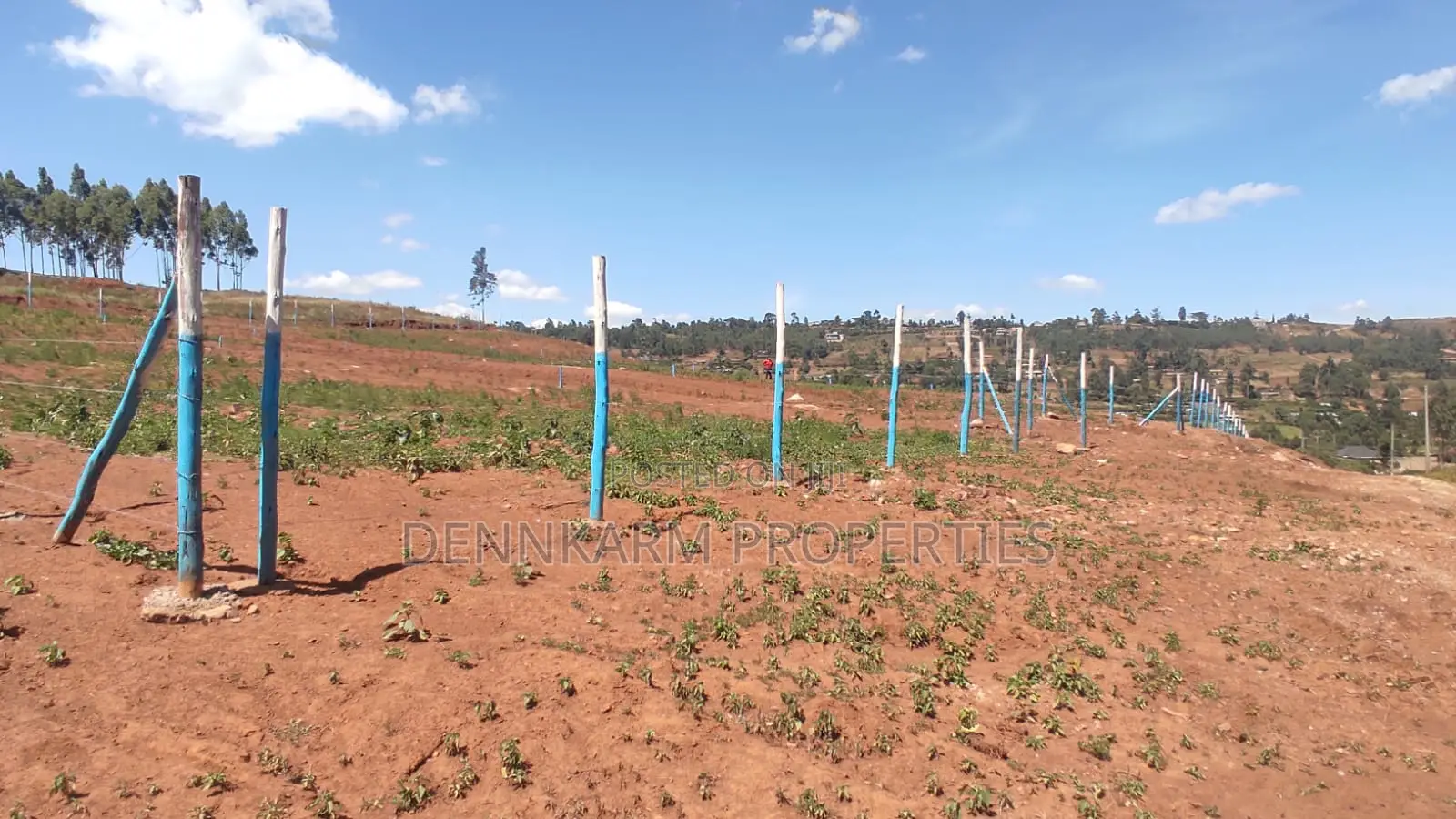 Premium Residential Land for Sale in Thigio, Kamangu - Don't Miss Out! in Ndeiya