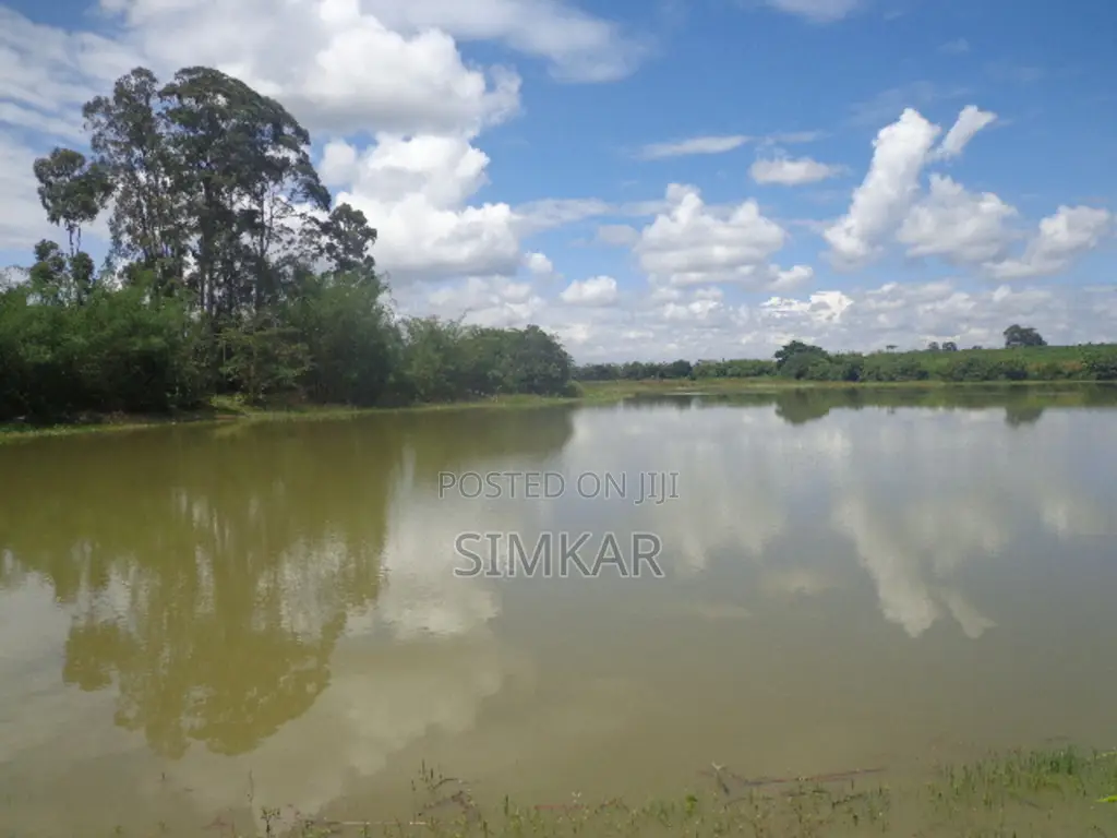 Find Your Ideal Land Block in Murang'A - Browse Our Offers in Gatanga