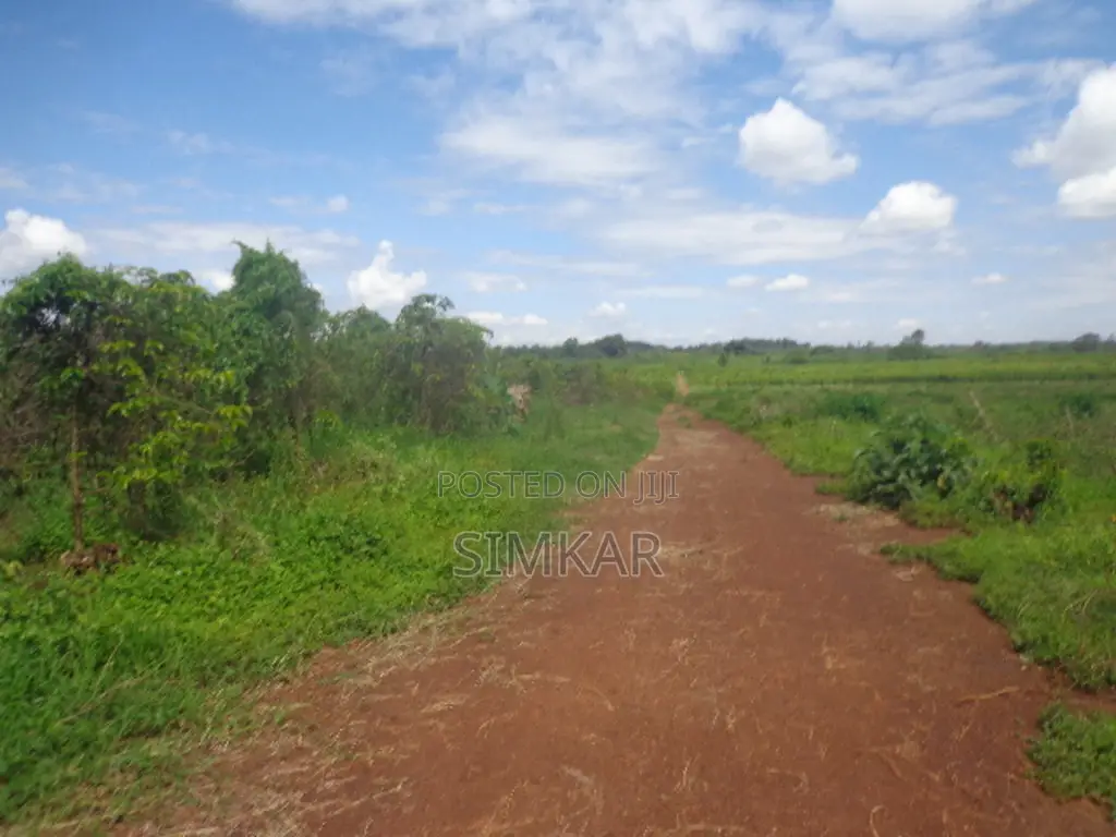Find Your Ideal Land Block in Murang'A - Browse Our Offers in Gatanga