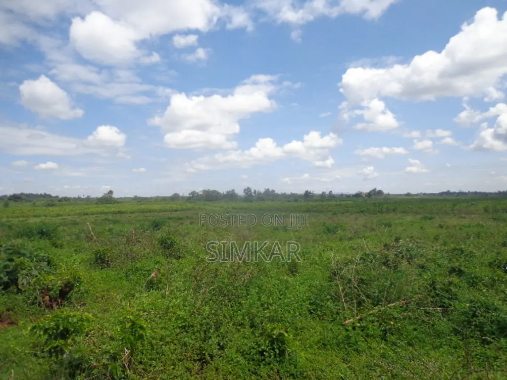 Find Your Ideal Land Block in Murang'A - Browse Our Offers in Gatanga