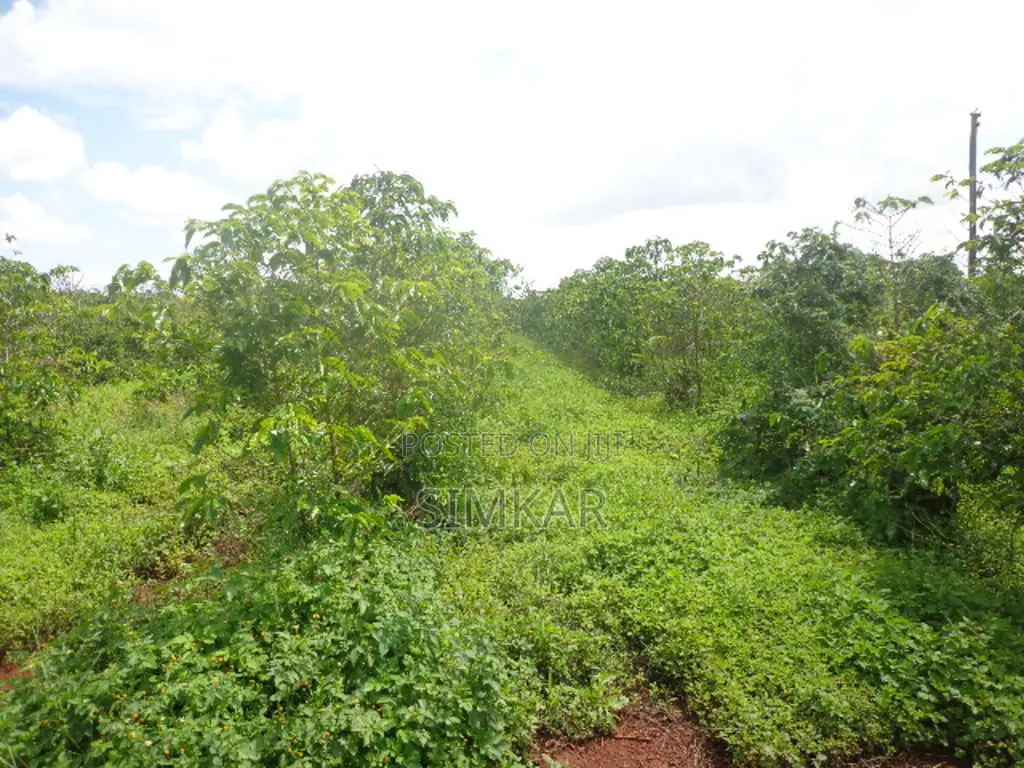 Find Your Ideal Land Block in Murang'A - Browse Our Offers in Gatanga