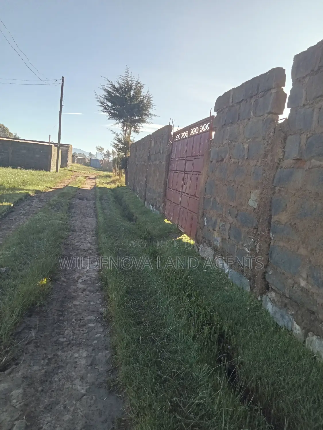 Prime 50*100 Plot in Magumu Kinangop for Sale - Perfect Investment Opportunity in Magumu