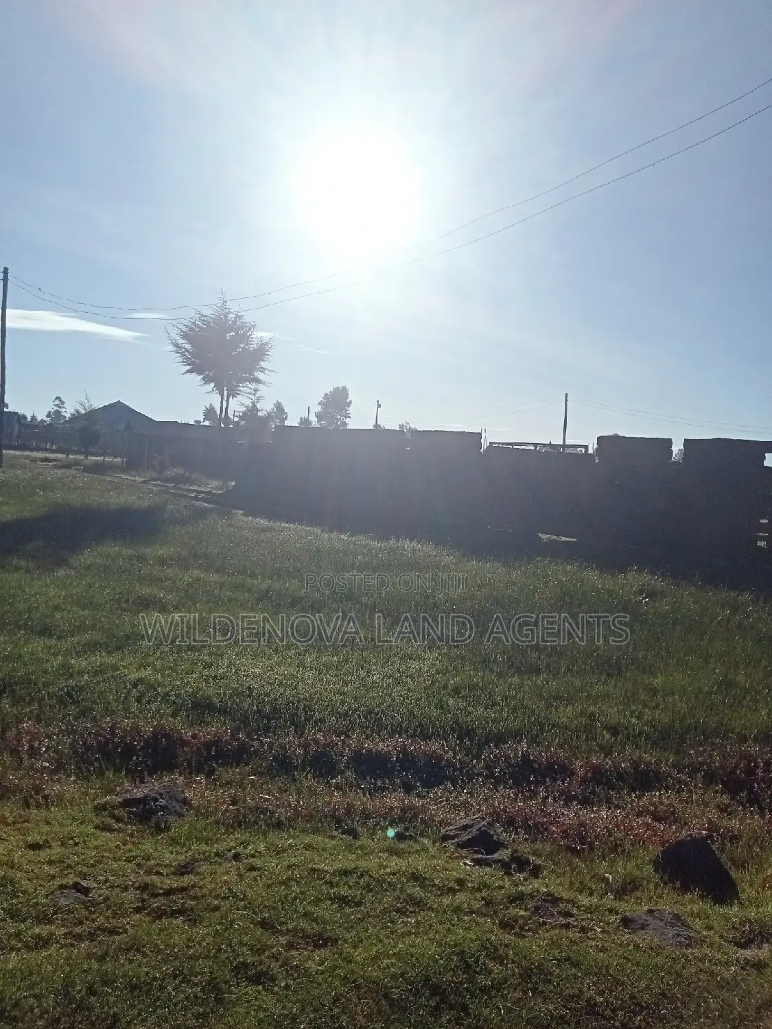 Prime 50*100 Plot in Magumu Kinangop for Sale - Perfect Investment Opportunity in Magumu