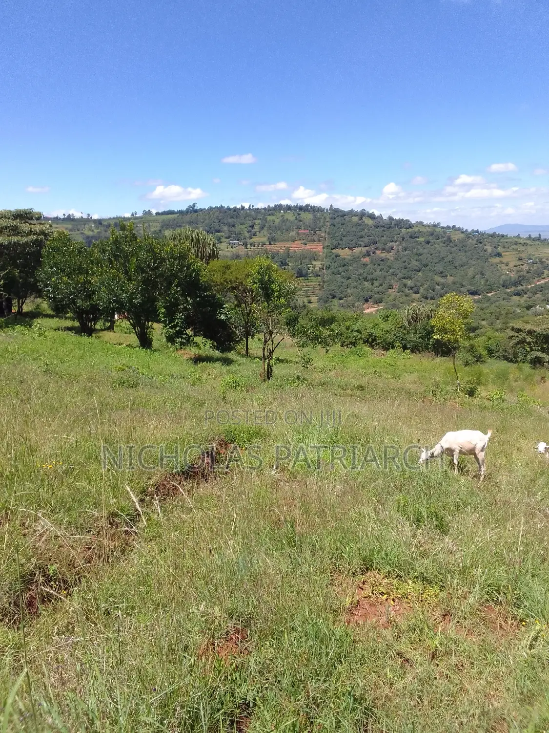2 Acres Mua Hills Kitanga 200m.From Tarmac at 6m Per Acre in Mua Hills