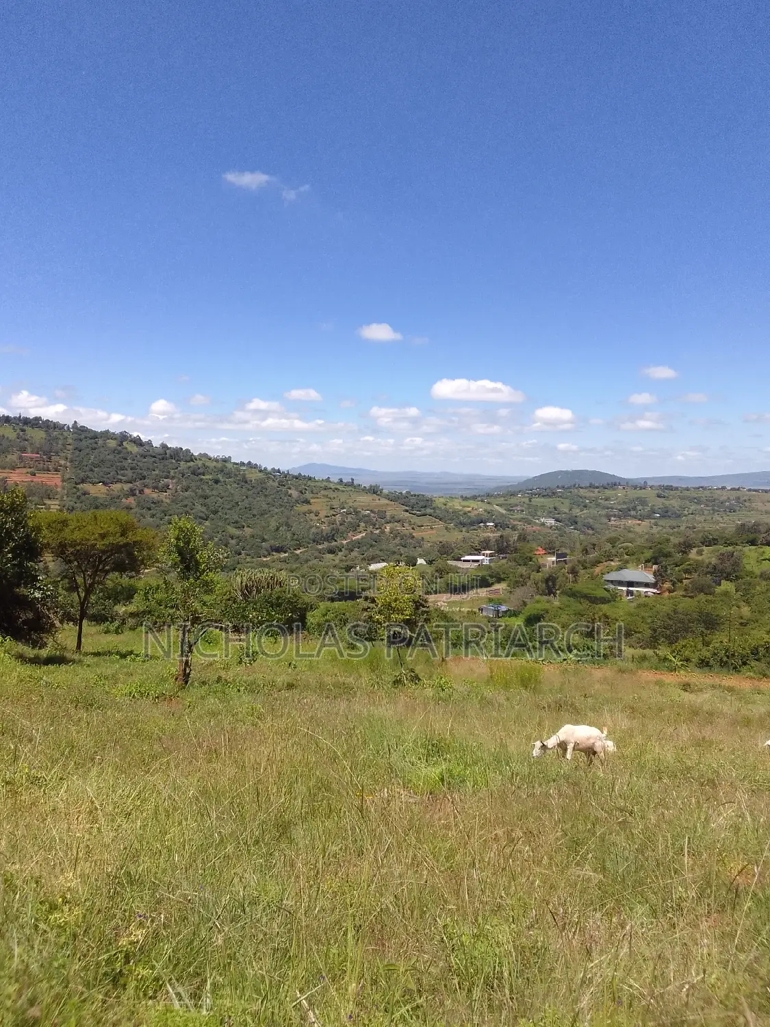 10 Acres Mua Kitanga Near Kwa Acre in Mua Hills