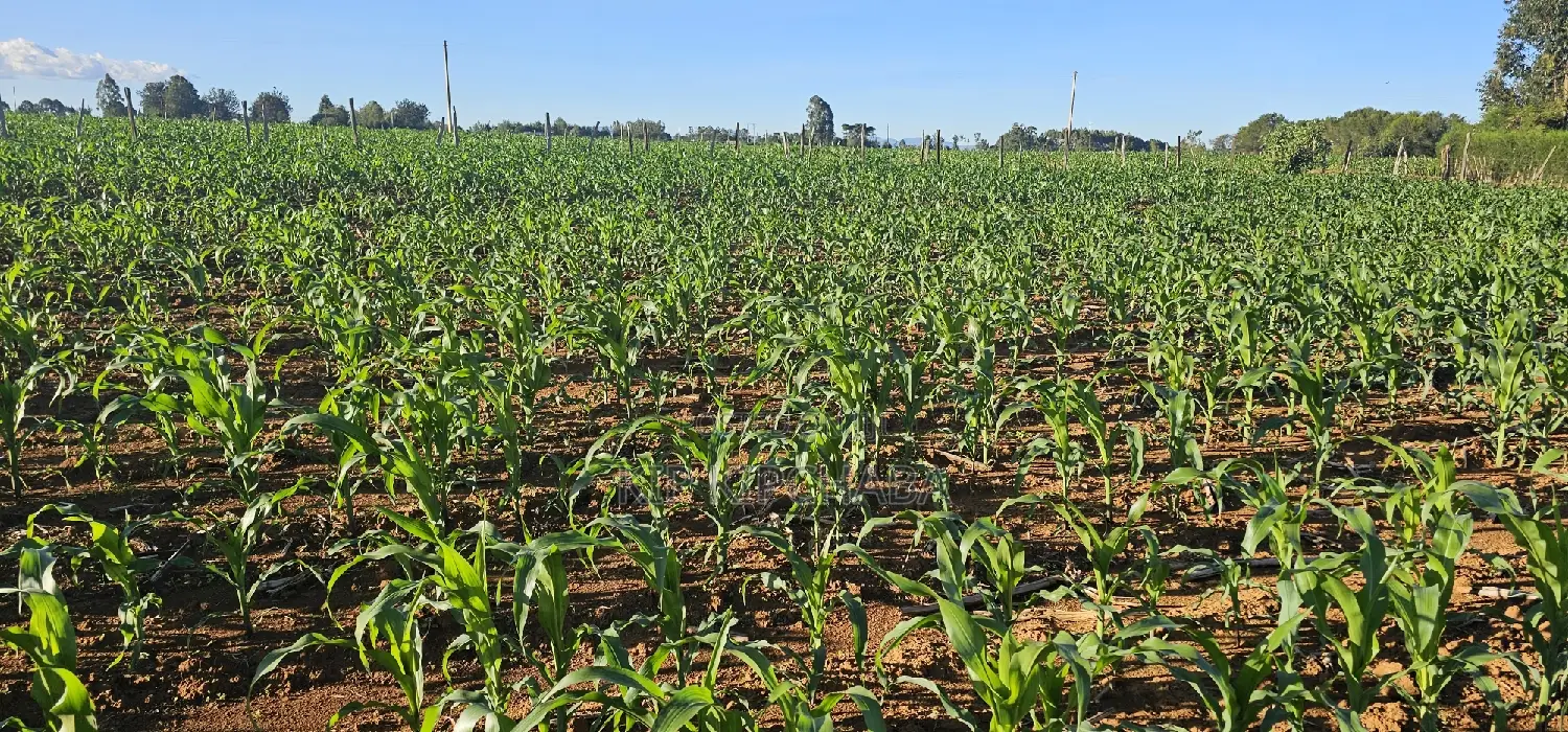 3.8 Acre Property for Sale in Moiben Garage in Moiben