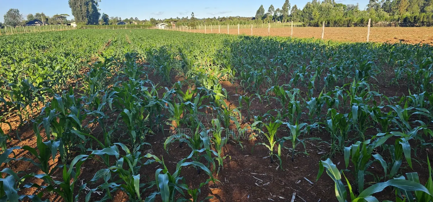 3.8 Acre Property for Sale in Moiben Garage in Moiben