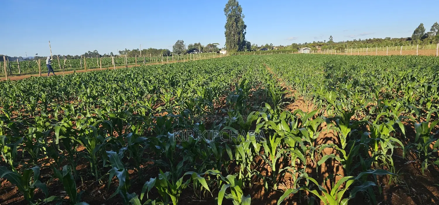 3.8 Acre Property for Sale in Moiben Garage in Moiben
