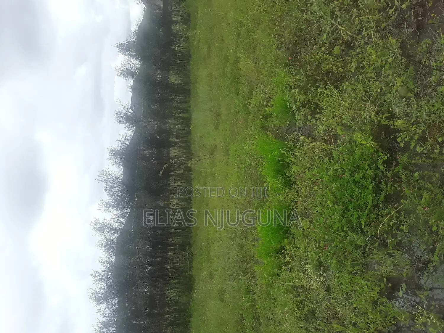 Kamakis Land: 5 Plots for Sale Today in Kamakis