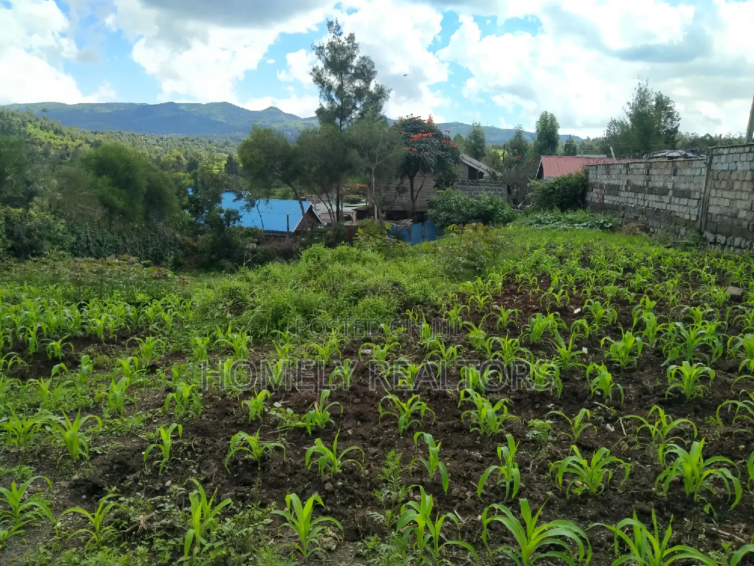 Gated Quarter-Acre Plot in Ongata Rongai Nkoroi with Perimeter Wall in Rimpa