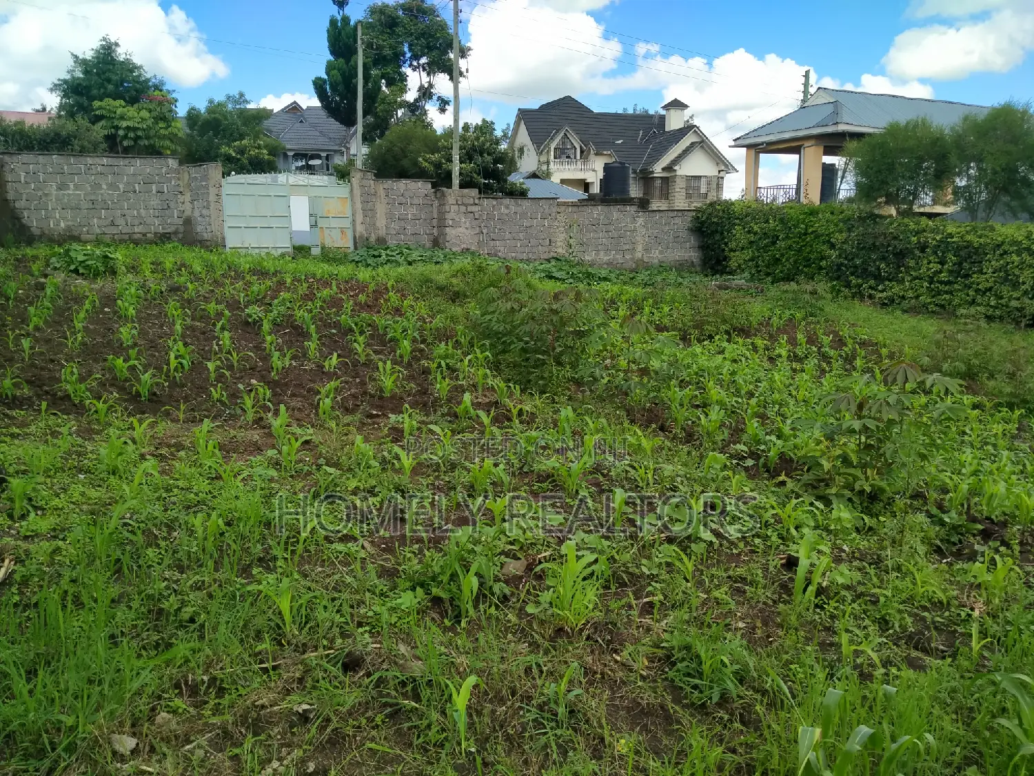 Gated Quarter-Acre Plot in Ongata Rongai Nkoroi with Perimeter Wall in Rimpa