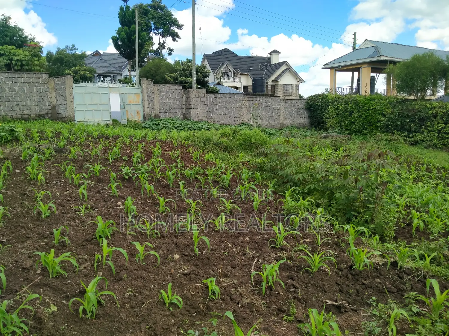 Gated Quarter-Acre Plot in Ongata Rongai Nkoroi with Perimeter Wall in Rimpa