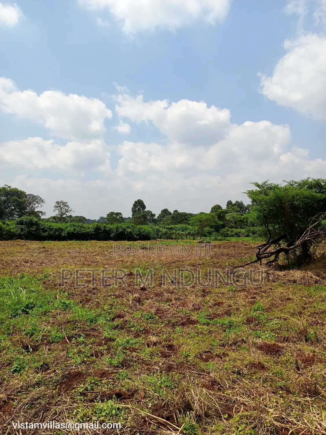 Quick Sale: Spacious 1/4 Acre Plot at Migaa Golf Estate in Kiambu / Kiambu 