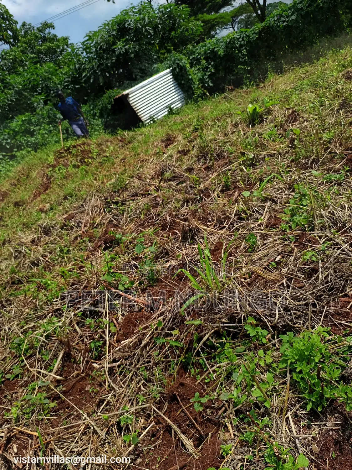 Quick Sale: Spacious 1/4 Acre Plot at Migaa Golf Estate in Kiambu / Kiambu 