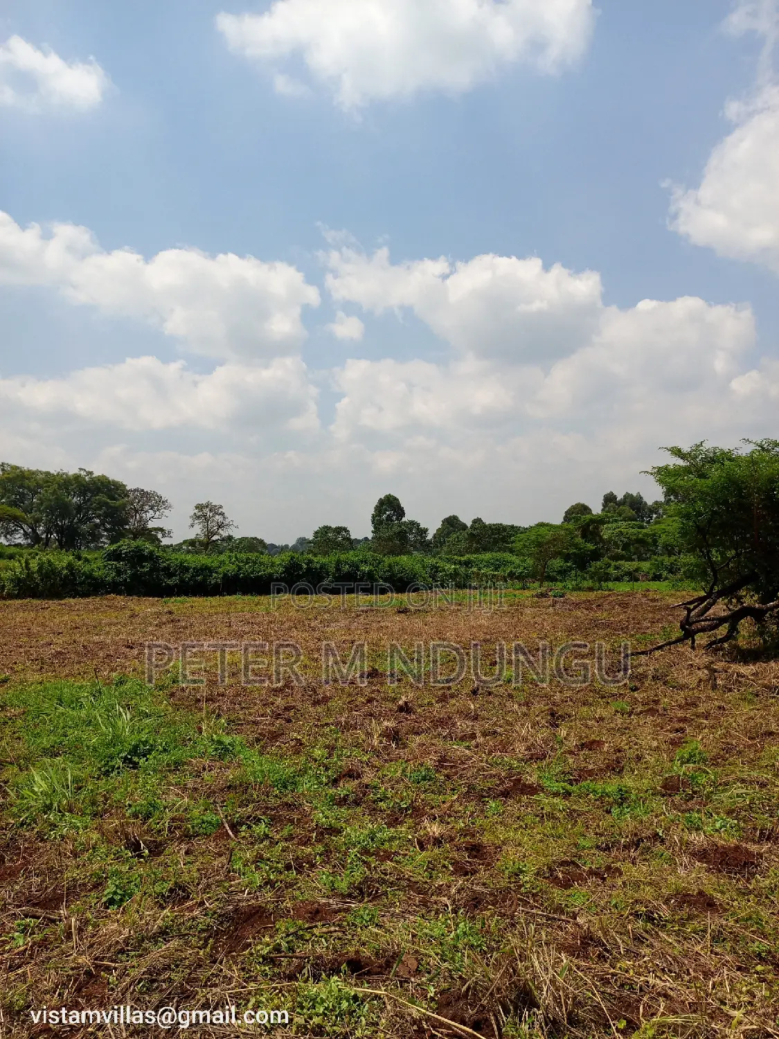 Quick Sale: Spacious 1/4 Acre Plot at Migaa Golf Estate in Kiambu / Kiambu 