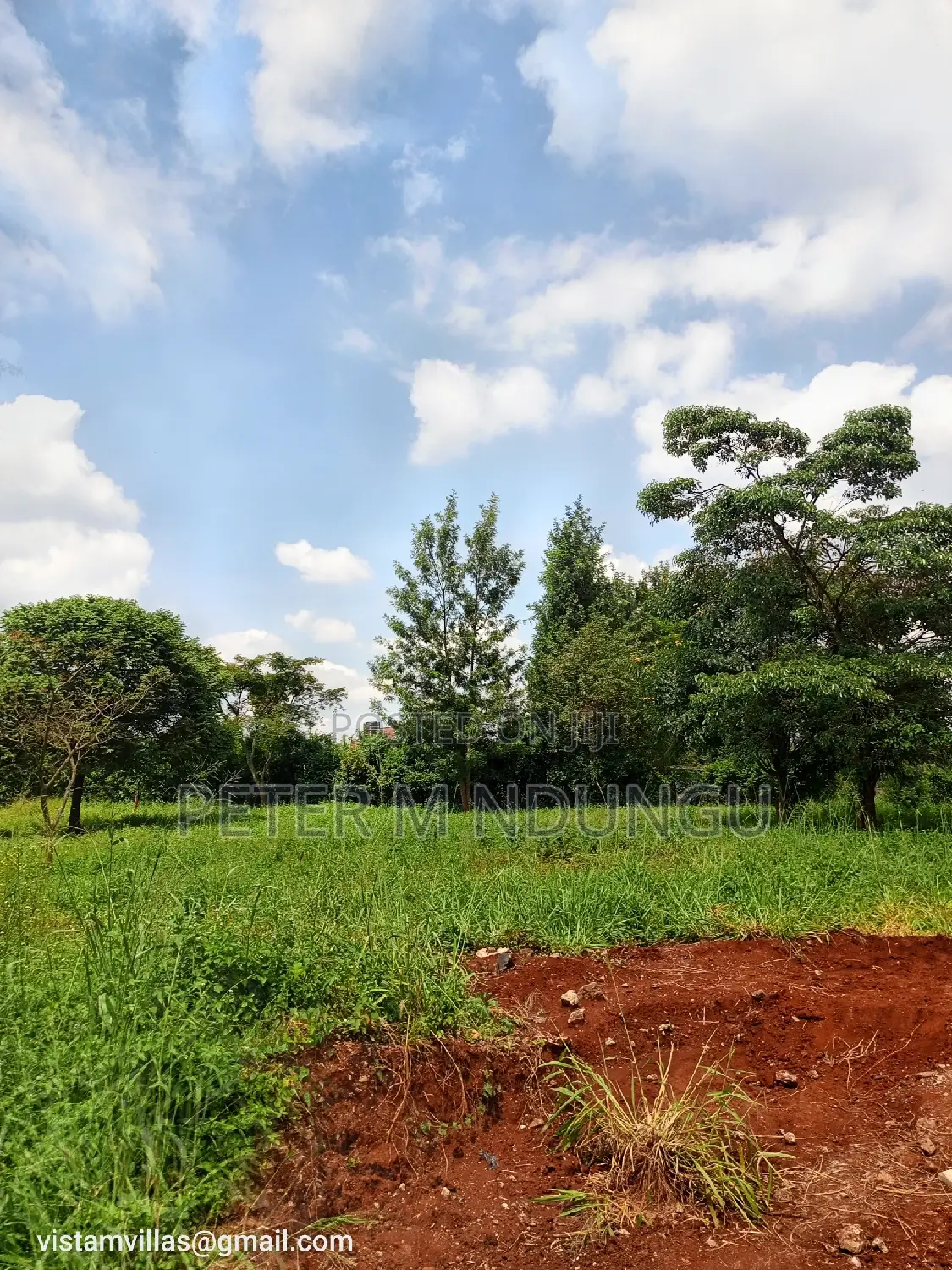 Golden Palm Gardens: Exclusive Residential Quarter Plot in Kiambu / Kiambu 