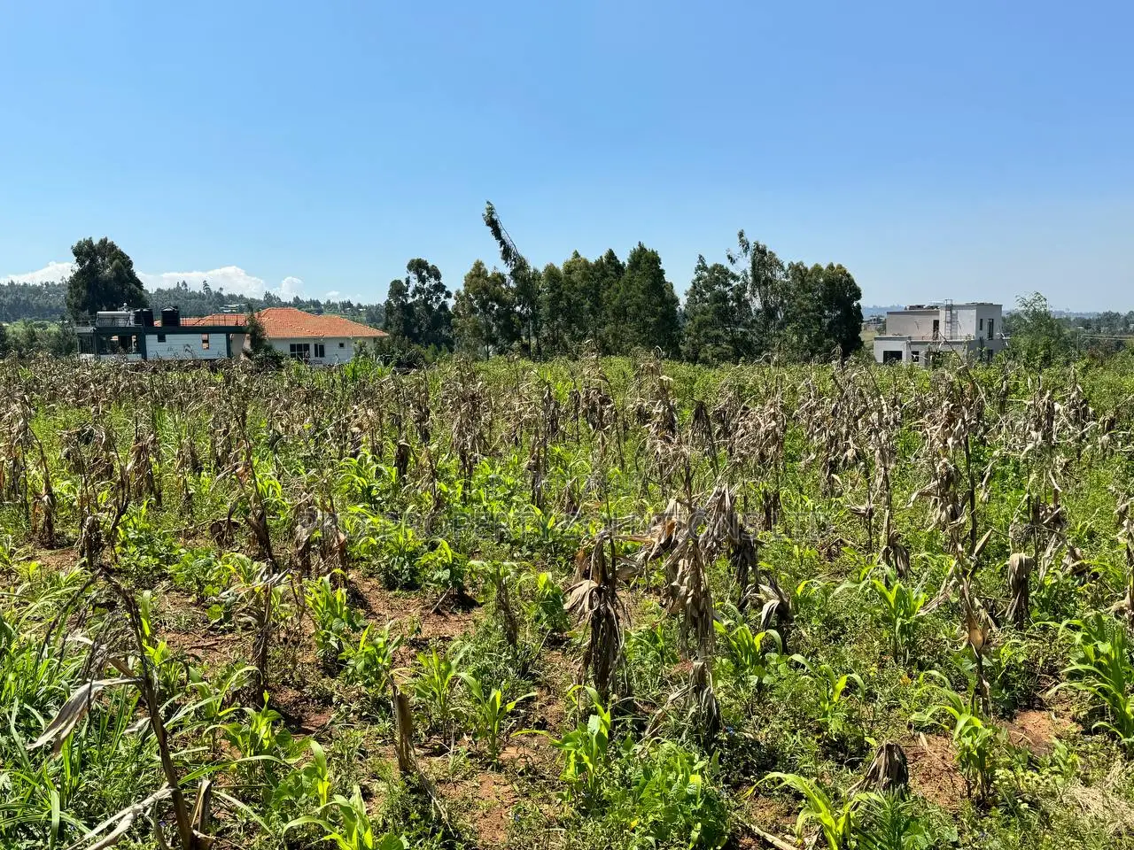 Residential Plot for Sale in Kikuyu, Kamangu - Prime Location in Kikuyu