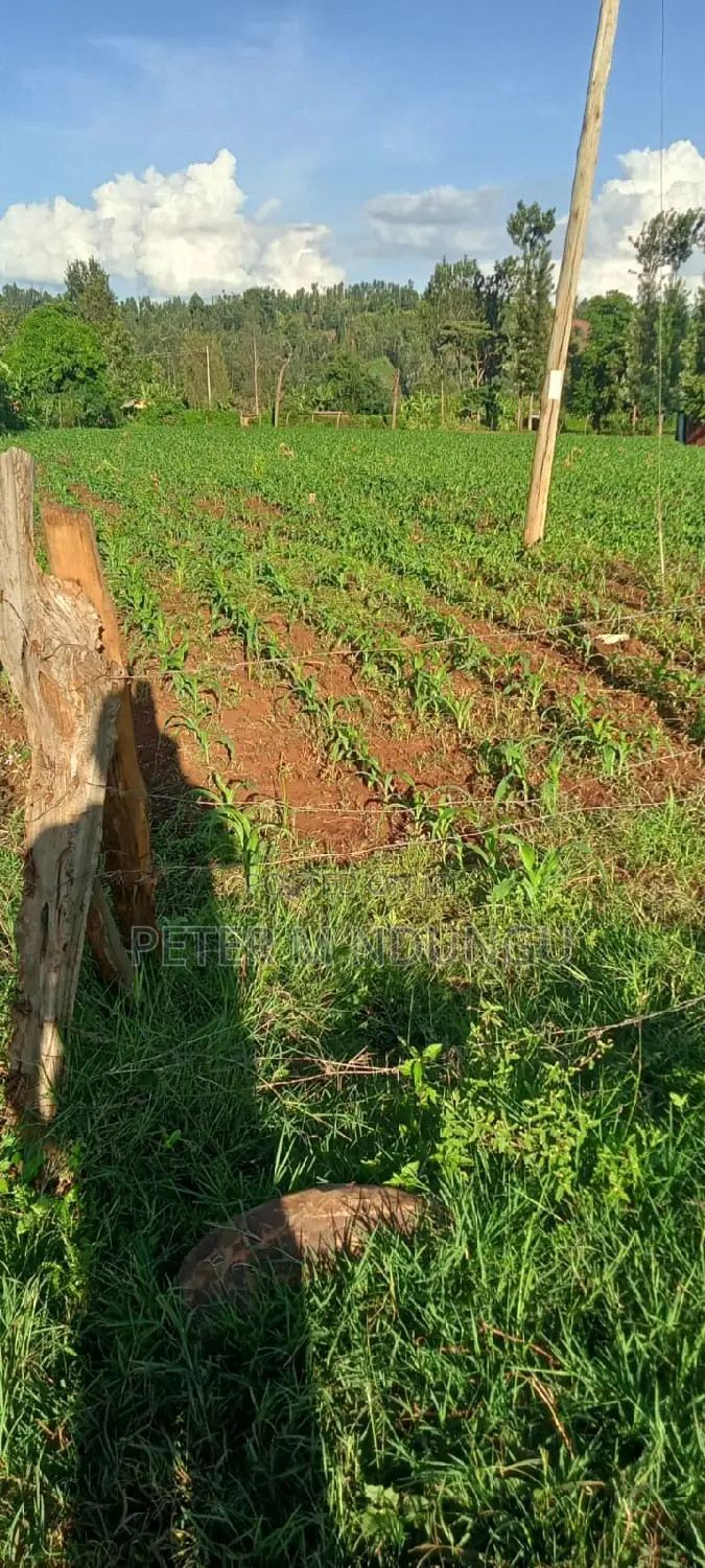 2 Acre Land Parcel Adjoining Sagana-Karatina Expressway in Karatina Town