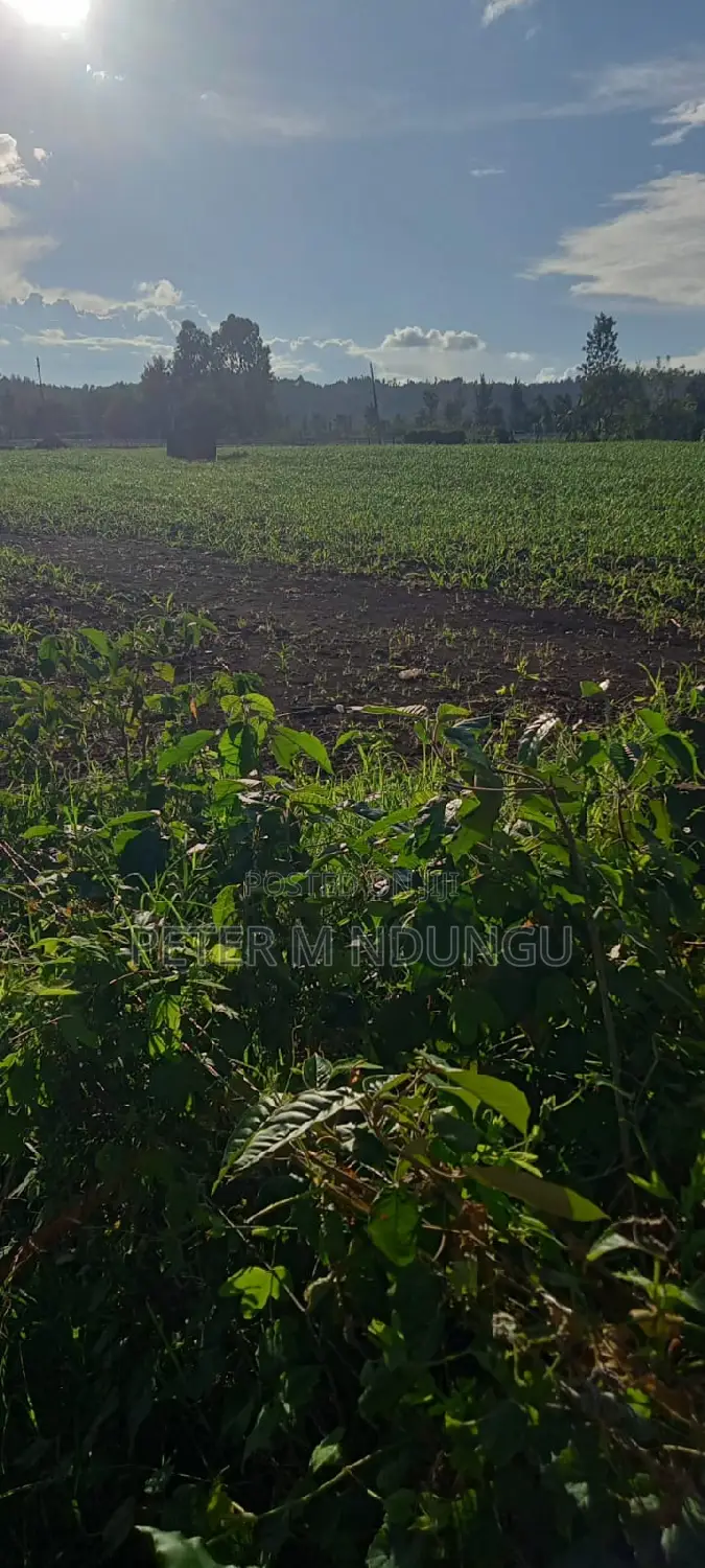 2 Acre Land Parcel Adjoining Sagana-Karatina Expressway in Karatina Town