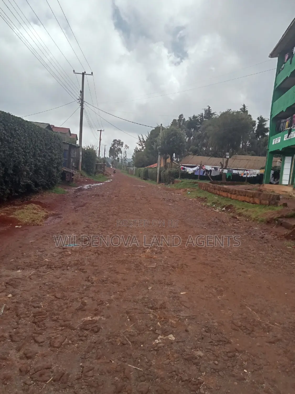 Limuru Kamirithu: Land Purchase Opportunity in Limuru
