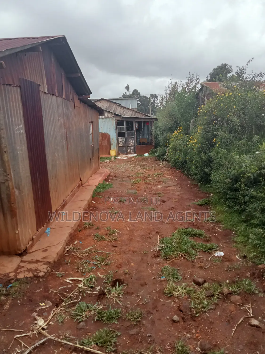 Limuru Kamirithu: Land Purchase Opportunity in Limuru