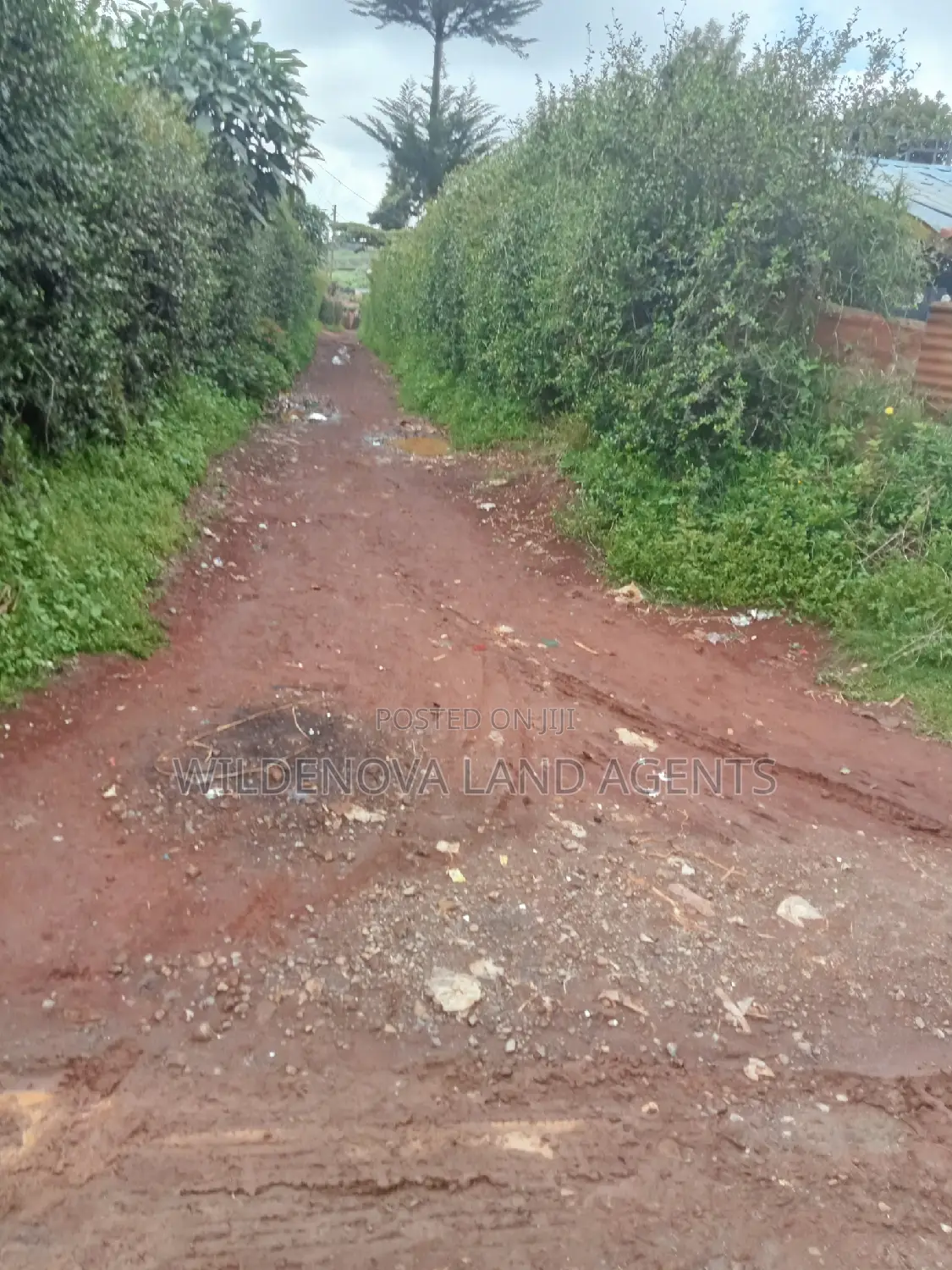 Limuru Kamirithu: Land Purchase Opportunity in Limuru