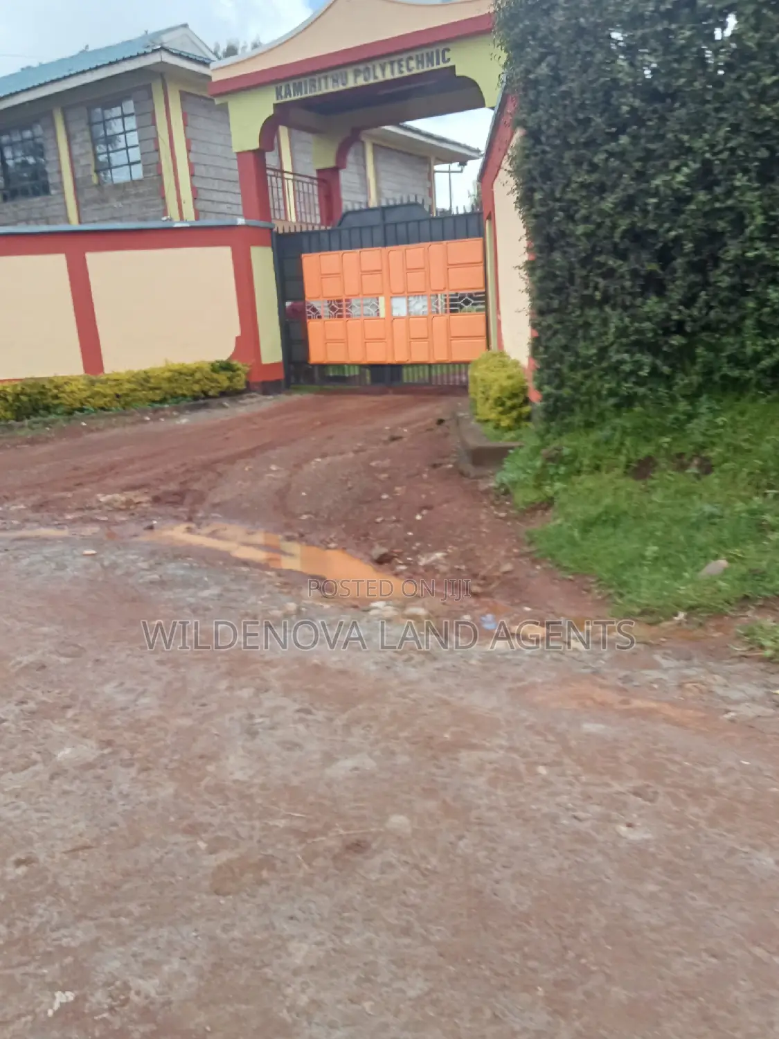 Limuru Kamirithu: Land Purchase Opportunity in Limuru