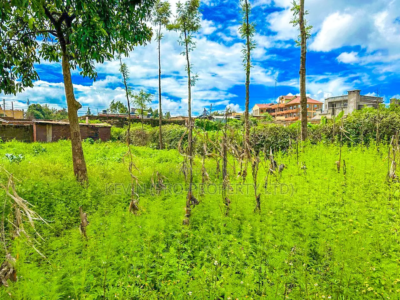 Kikuyu, Gikambura - Prime Land for Sale - Seize the Opportunity in Kikuyu