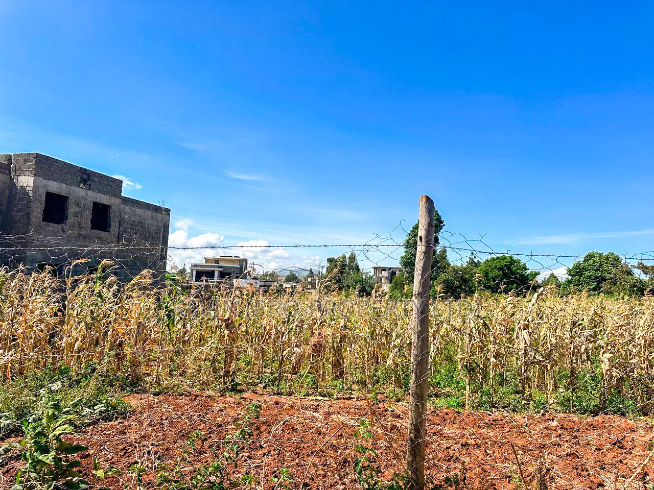 Kikuyu, Gikambura: 1/4 Acre Plot - Perfect for Investment in Kikuyu