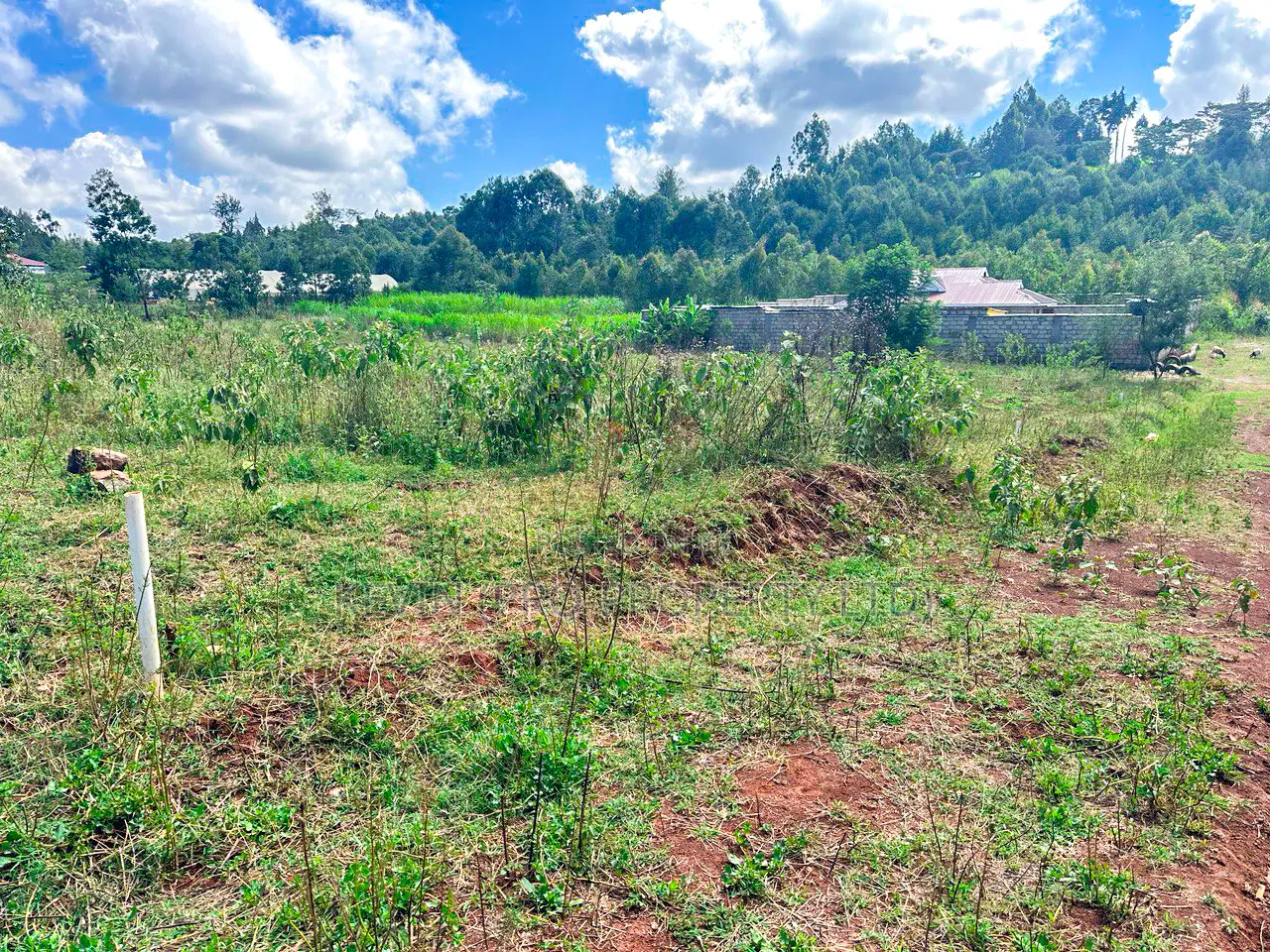 Plots in Karai, Ondiri - Make Your Dream Home a Reality Today in Kikuyu