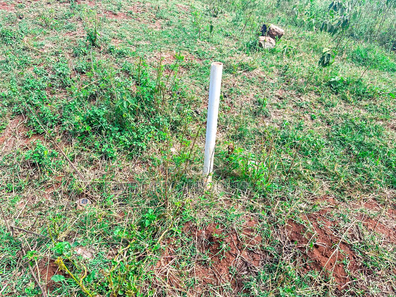 Plots in Karai, Ondiri - Make Your Dream Home a Reality Today in Kikuyu