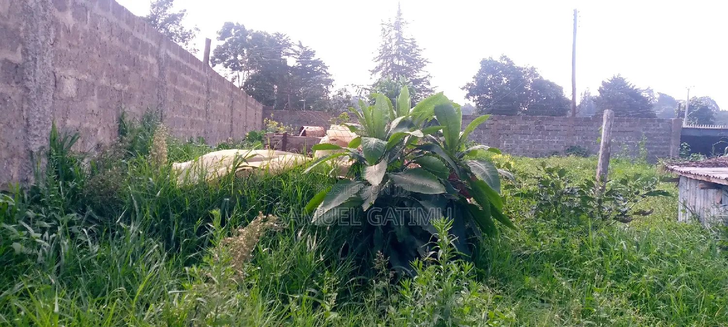 Commercial Real Estate: Plot for Sale in Tigoni Kiambu County in Tigoni