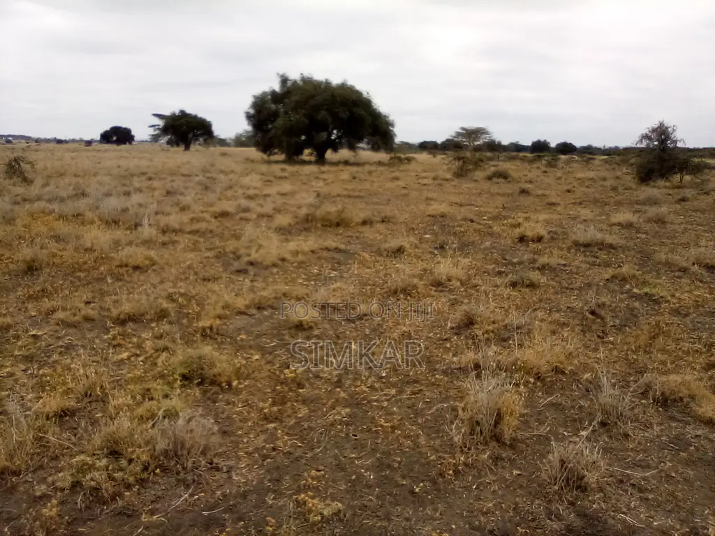 Kisaju's Prime 30-Acre Land for Sale - Seize the Opportunity! in Kisaju