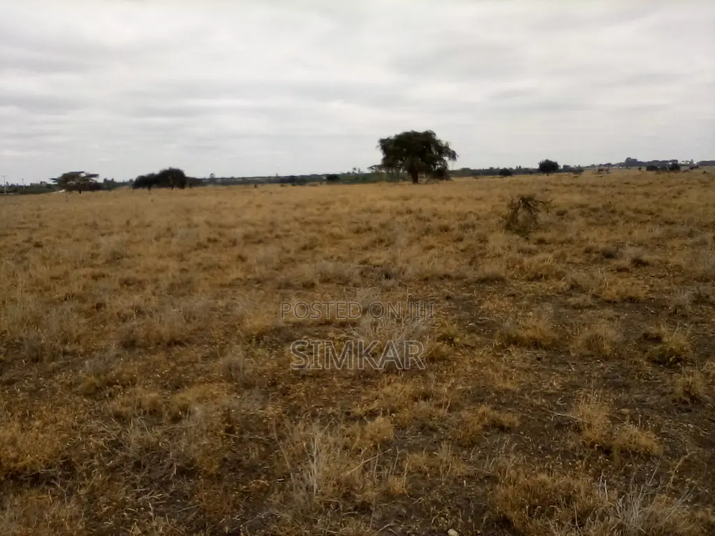 Kisaju's Prime 30-Acre Land for Sale - Seize the Opportunity! in Kisaju