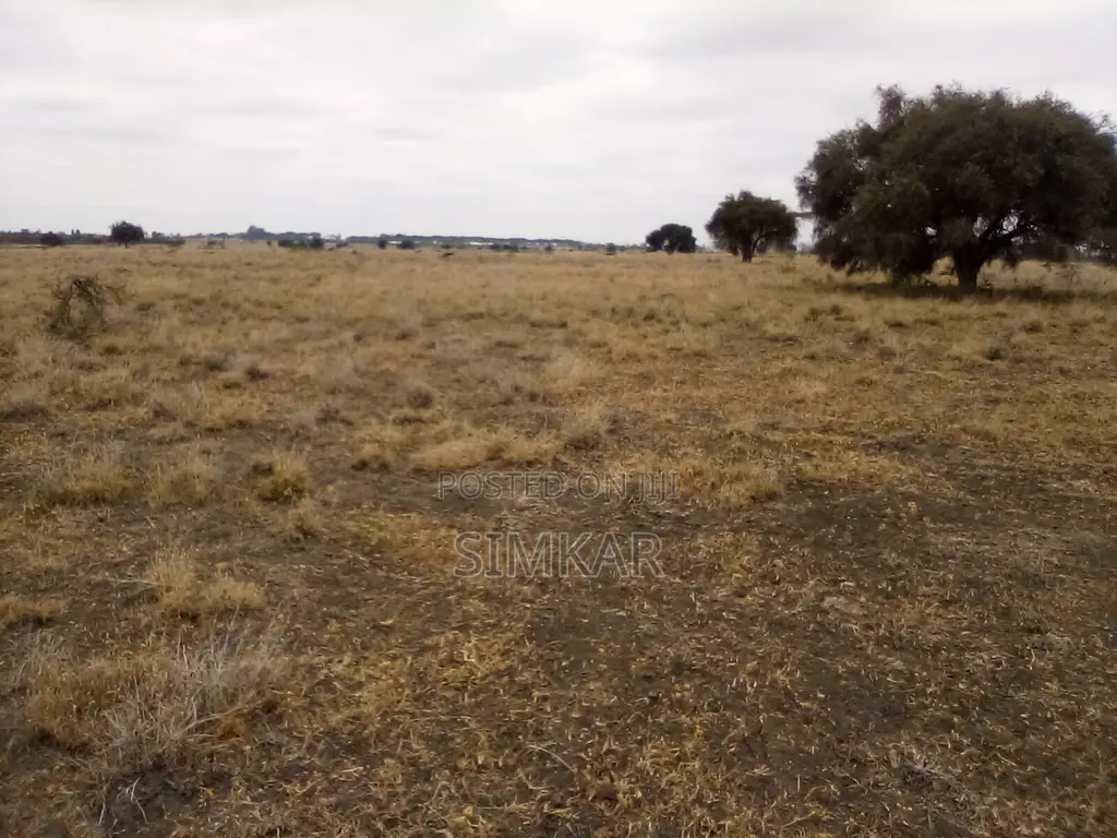 Kisaju's Prime 30-Acre Land for Sale - Seize the Opportunity! in Kisaju
