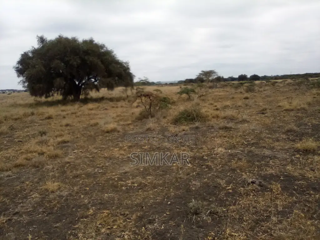 Kisaju's Prime 30-Acre Land for Sale - Seize the Opportunity! in Kisaju
