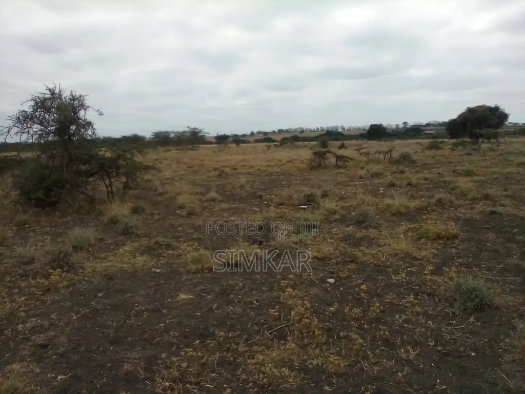 Kisaju's Prime 30-Acre Land for Sale - Seize the Opportunity! in Kisaju