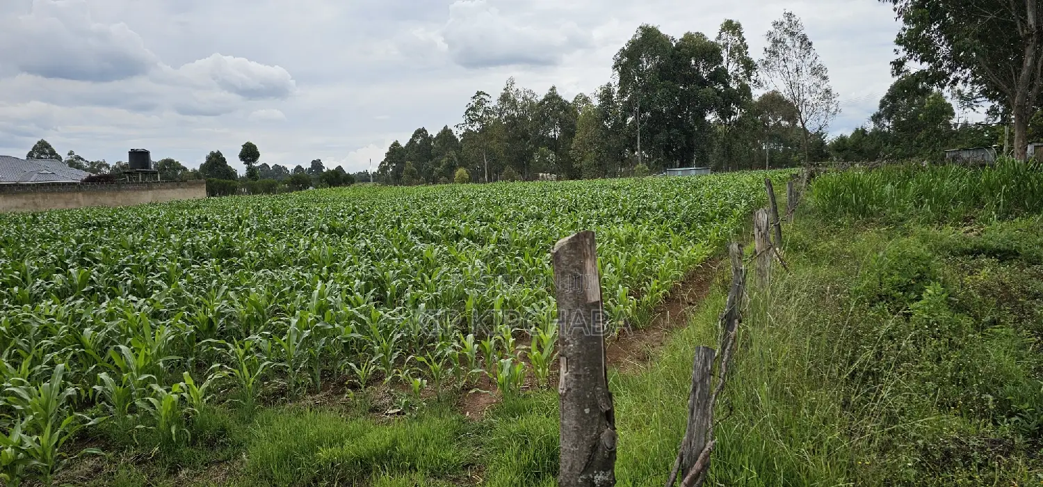 Sake Cultivation Land: Outspan Eldoret's Prime Plots for Sale in Racecourse