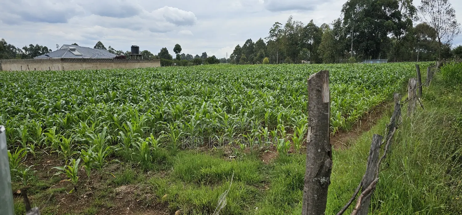 Sake Cultivation Land: Outspan Eldoret's Prime Plots for Sale in Racecourse