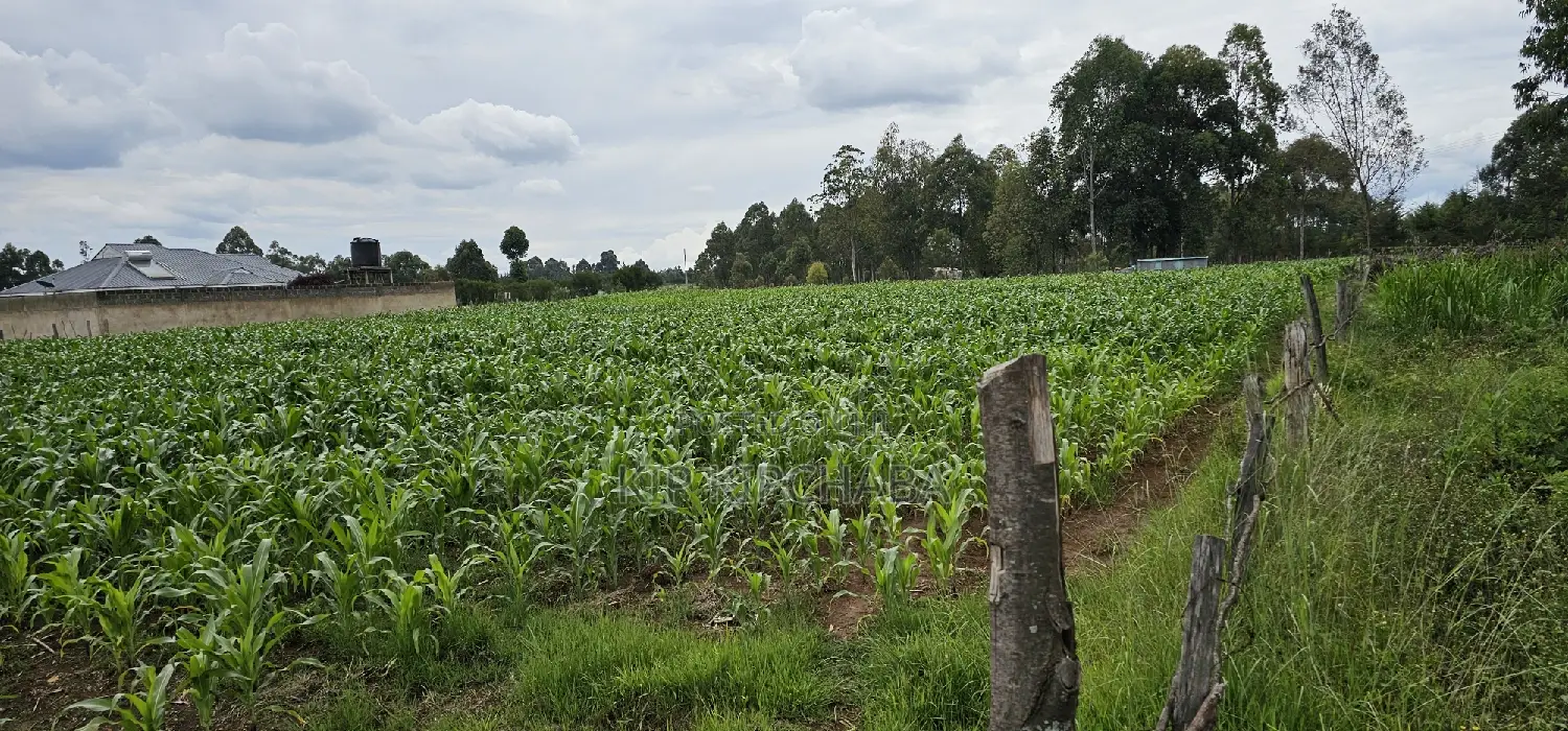 Sake Cultivation Land: Outspan Eldoret's Prime Plots for Sale in Racecourse