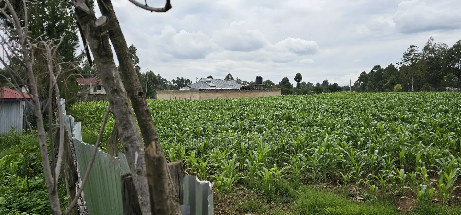 Sake Cultivation Land: Outspan Eldoret's Prime Plots for Sale in Racecourse