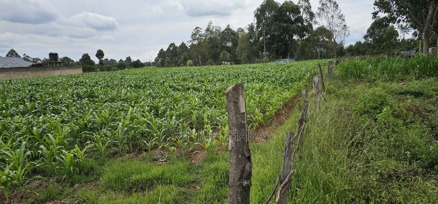 Sake Cultivation Land: Outspan Eldoret's Prime Plots for Sale in Racecourse