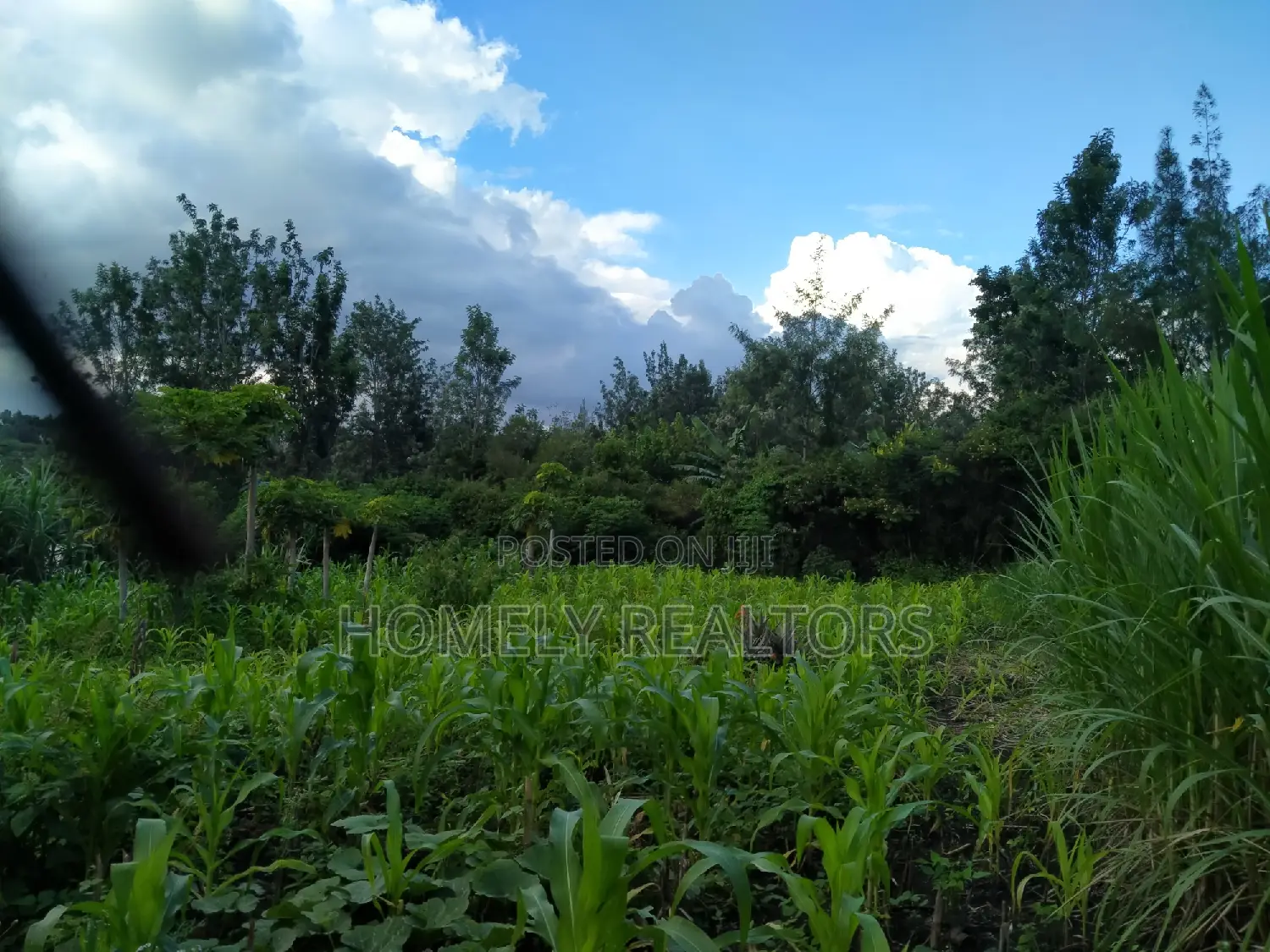 Eighth Acre Residential Plot in Ongata Rongai's Kandisi - Investment Opportunity in Kandisi