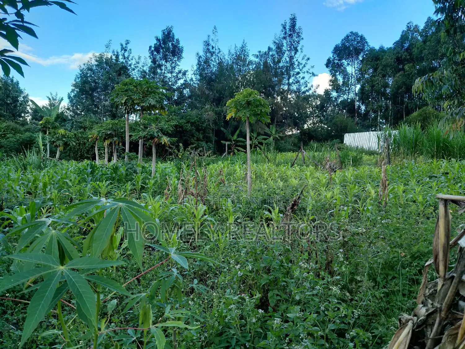 Large Quarter Acre Plot in Kandisi, Ongata Rongai - Now Available in Kandisi