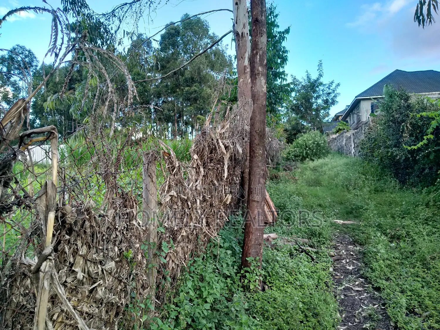 Large Quarter Acre Plot in Kandisi, Ongata Rongai - Now Available in Kandisi